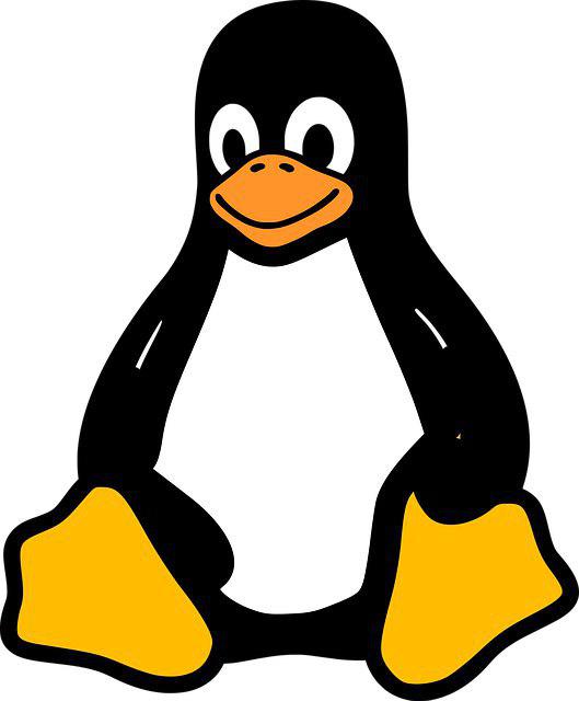 Linux ОС (Ubuntu, Debian и т.д.)